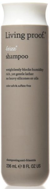 shampoo for frizzy hair